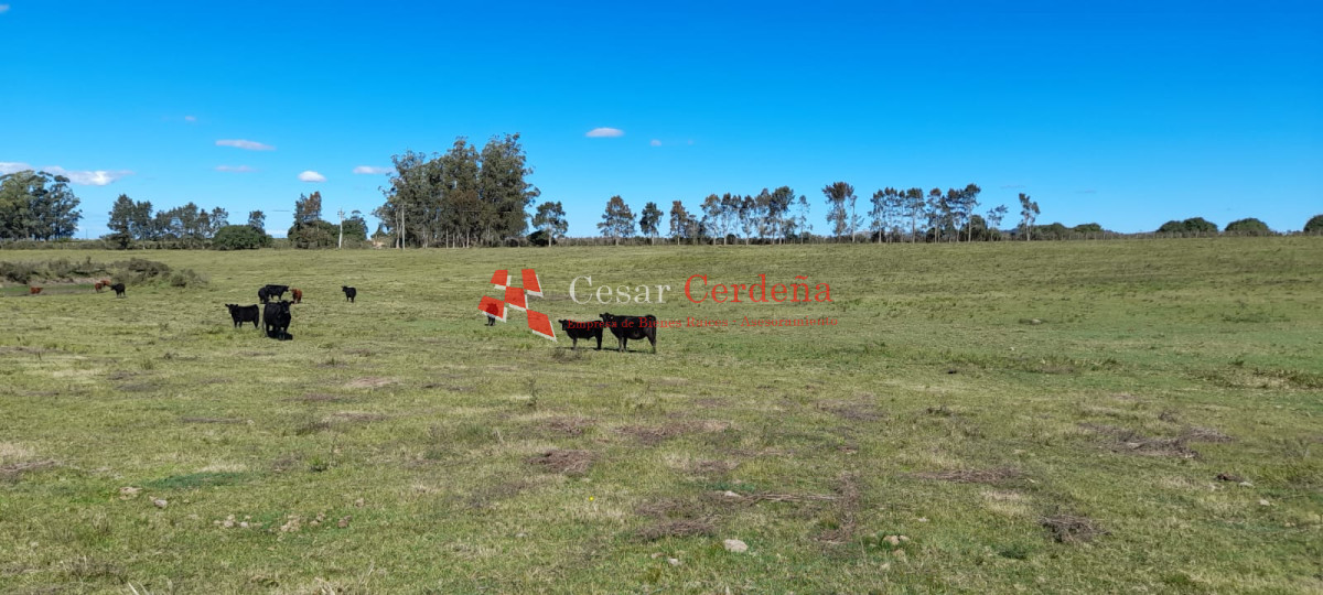 Campo Ref.1937 - VENTA - Campo de 83 hectáreas en Maldonado