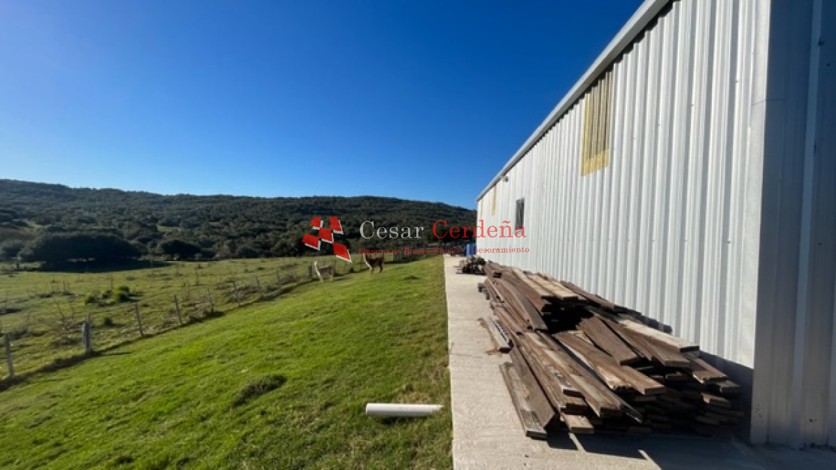 Campo Ref.1886 - VENTA - Campo de 238 hectáreas en zona del Cerro Catedral