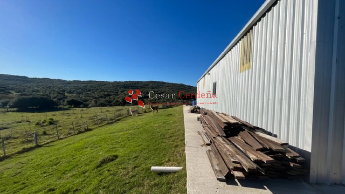 Campo Ref.1886 - VENTA - Campo de 238 hectáreas ganaderas en zona del Cerro Catedral