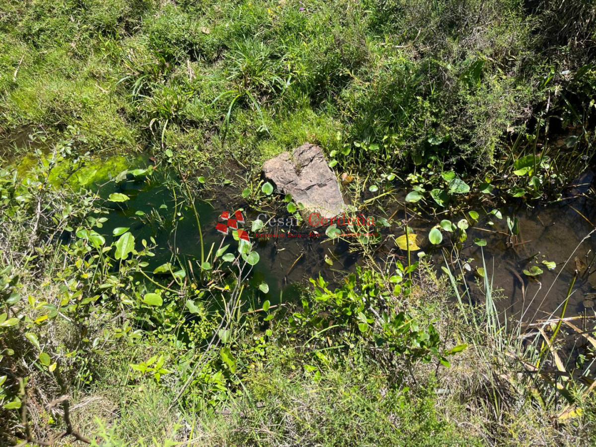 Campo Ref.1970 - VENTA - Campo 49 hectareas Pan de Azucar