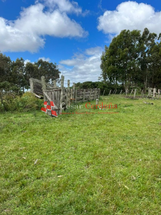 Campo Ref.1847 - VENTA - 112 has Rocha Castillos