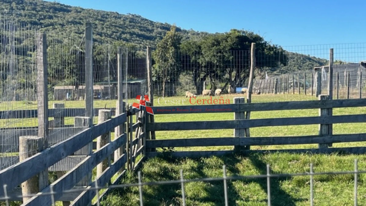 Campo Ref.1886 - VENTA - Campo de 238 hectáreas ganaderas en zona del Cerro Catedral