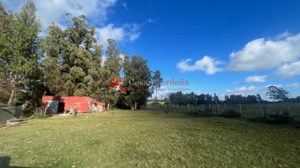 Campo Ref.1780 - VENTA - Campo de 83 hectáreas en Maldonado