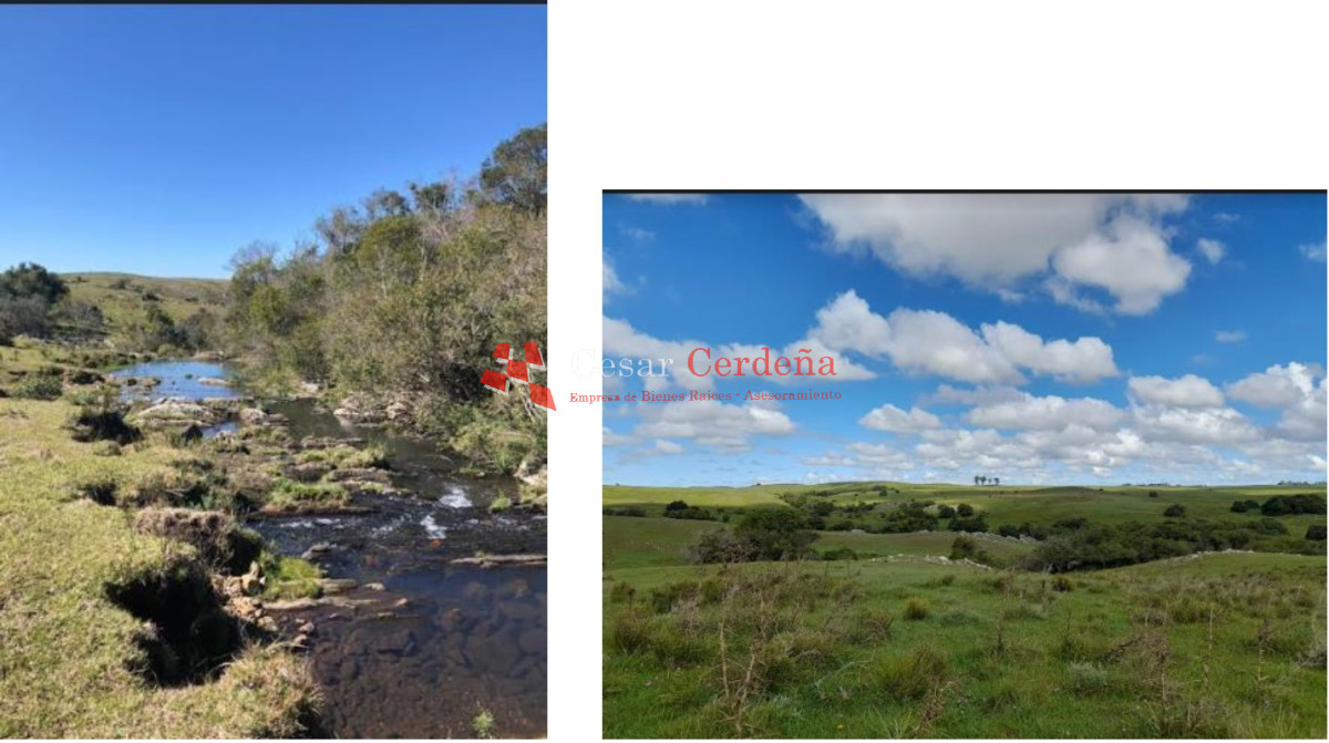Campo Ref.1908 - VENTA - Campo 1228 hectareas - Treinta y Tres