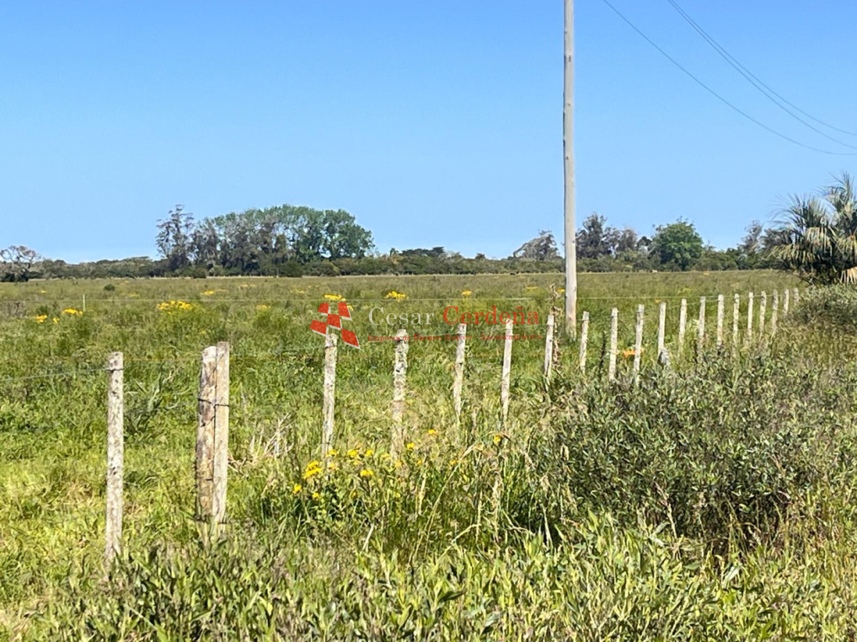 Campo Ref.1850 - VENTA - 745 HECTAREAS ROCHA