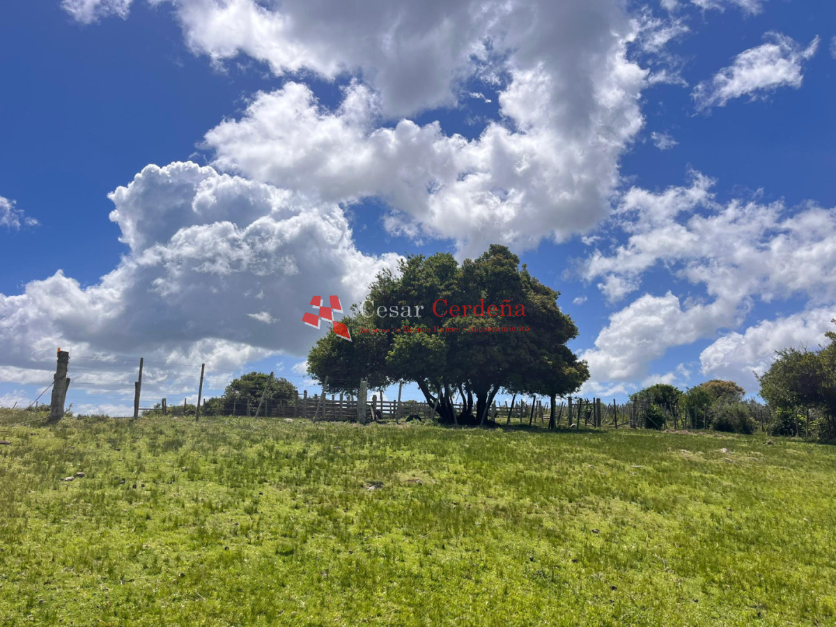 Campo Ref.1922 - VENTA - 124 HAS CASTILLOS