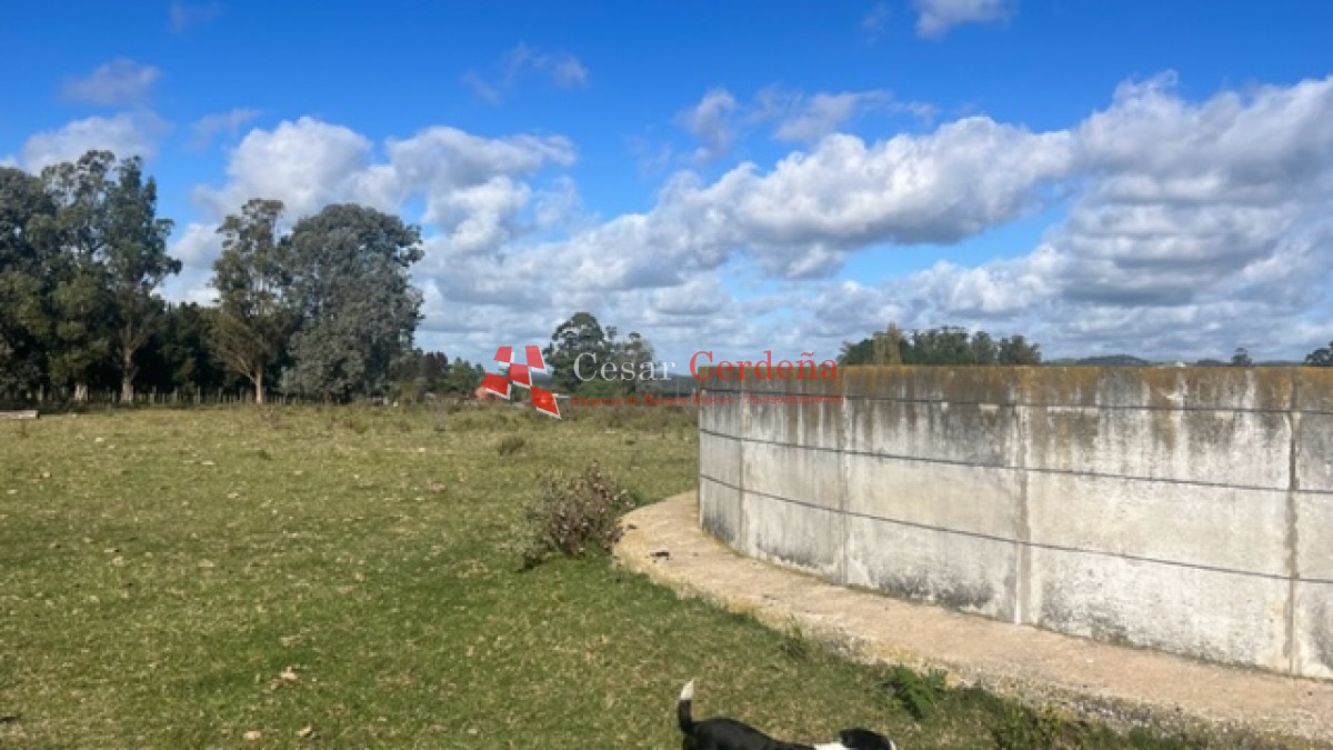 Campo Ref.1780 - VENTA - Campo de 89 hectáreas en Maldonado