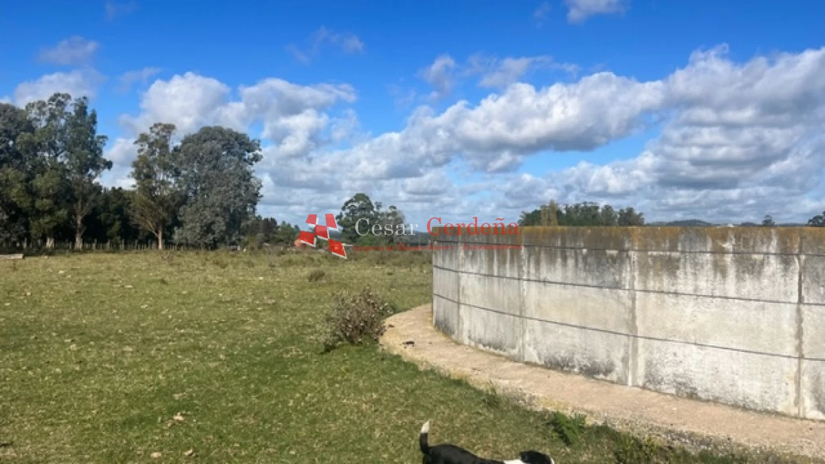 Campo Ref.1780 - VENTA - Campo de 83 hectáreas en Maldonado