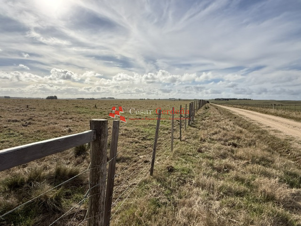 Campo Ref.2007 - VENTA - Campo 655 hectáreas cercano a Velazquez