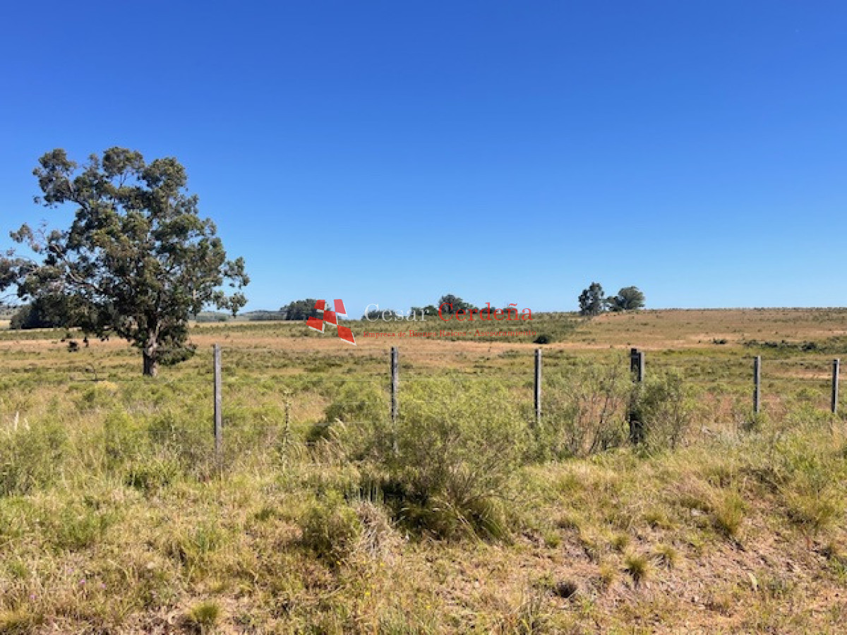 Campo Ref.1958 - VENTA - Campo 82 hectáreas