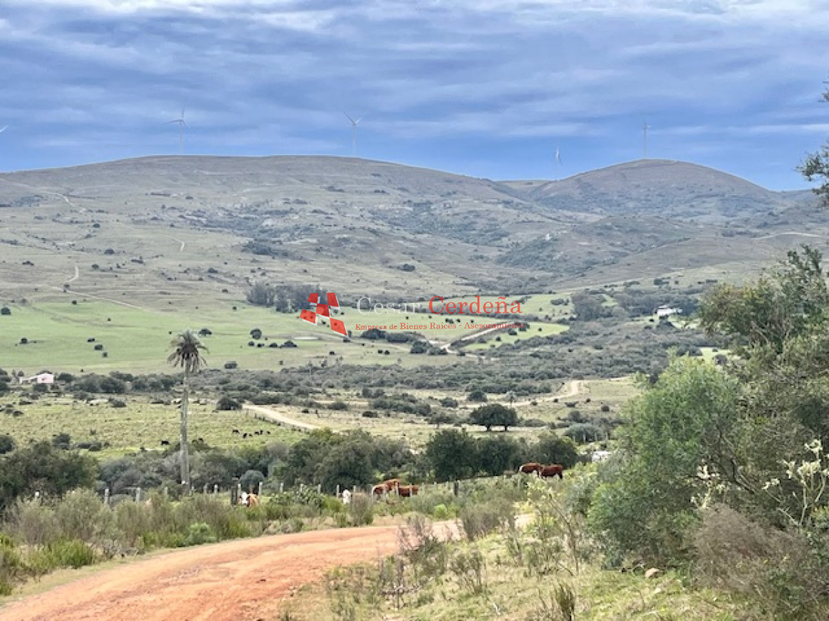 Campo Ref.1900 - VENTA - Campito de 86 hectáreas en las Sierras