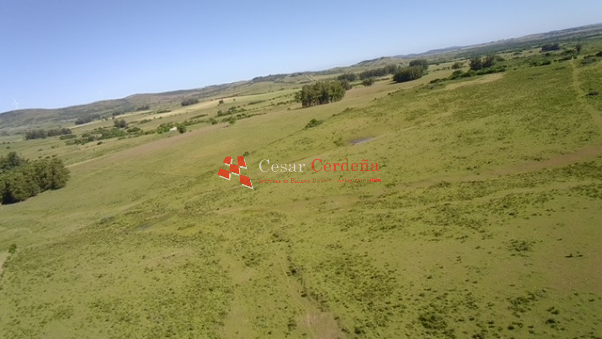 Campo Ref.1958 - VENTA - Campo 82 hectáreas