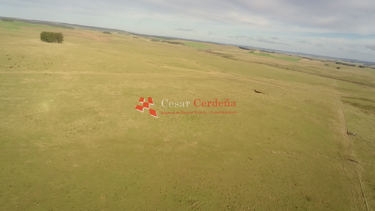 Campo Ref.2007 - VENTA - Campo 655 hectáreas cercano a Velazquez