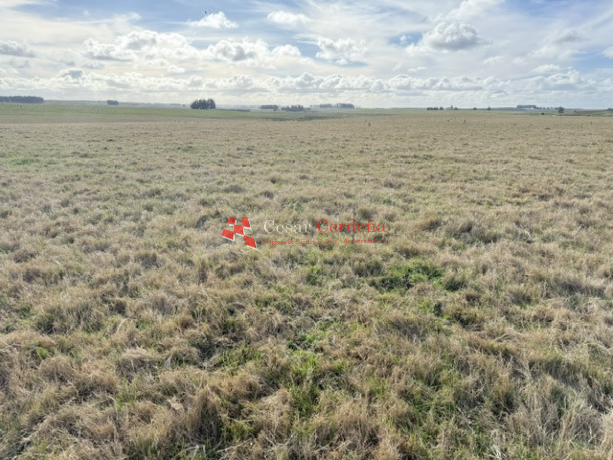 Campo Ref.2007 - VENTA - Campo 655 hectáreas cercano a Velazquez