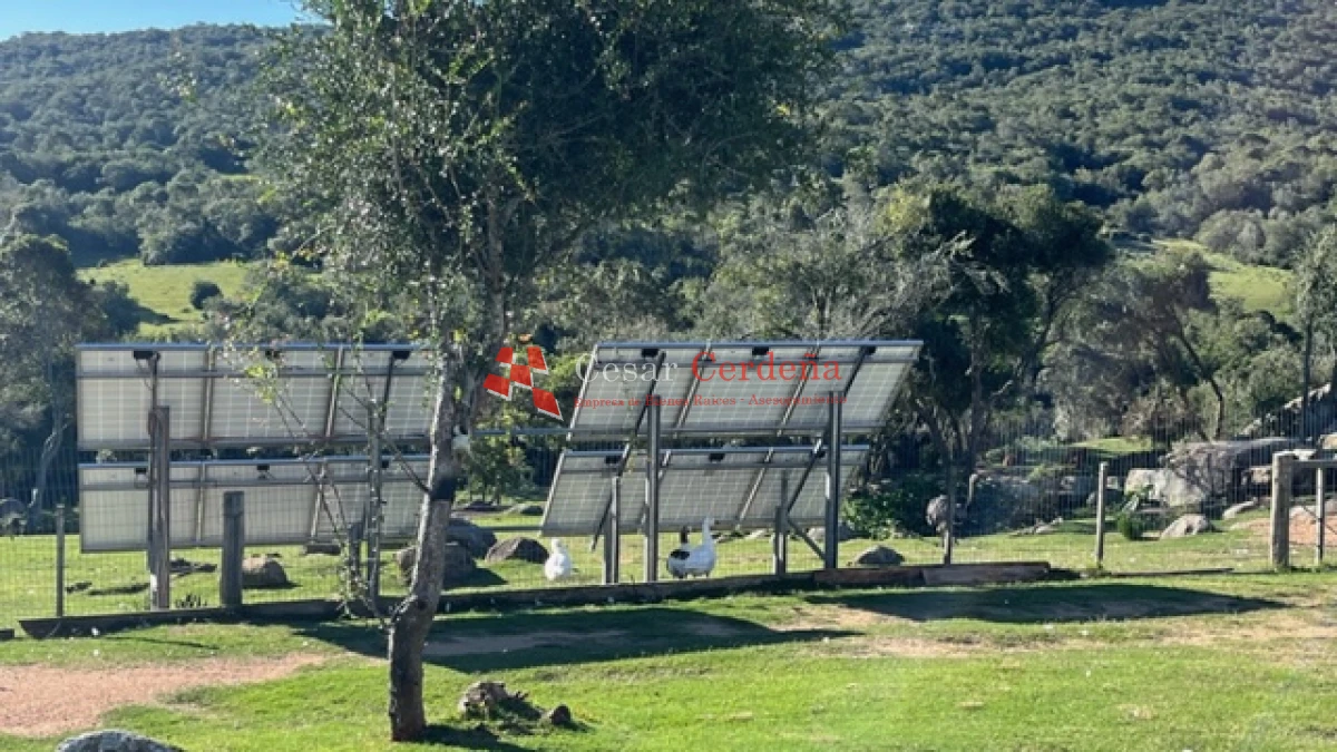 Campo Ref.1886 - VENTA - Campo de 238 hectáreas ganaderas en zona del Cerro Catedral
