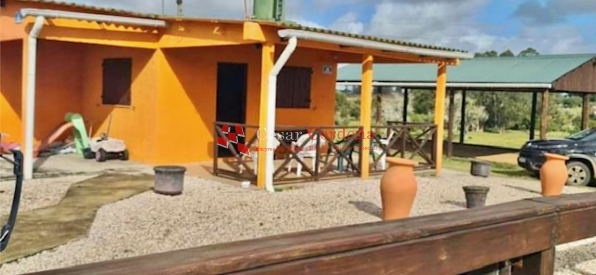 Campo Ref.1895 - VENTA - 73 has en Rocha