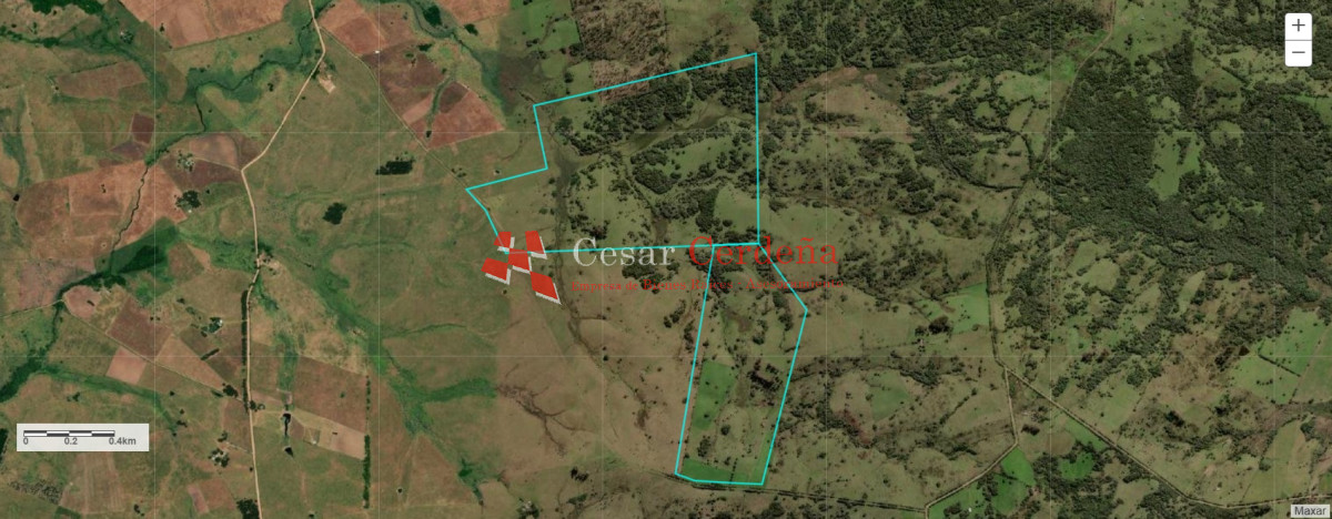 Campo Ref.1922 - VENTA - 124 HAS CASTILLOS