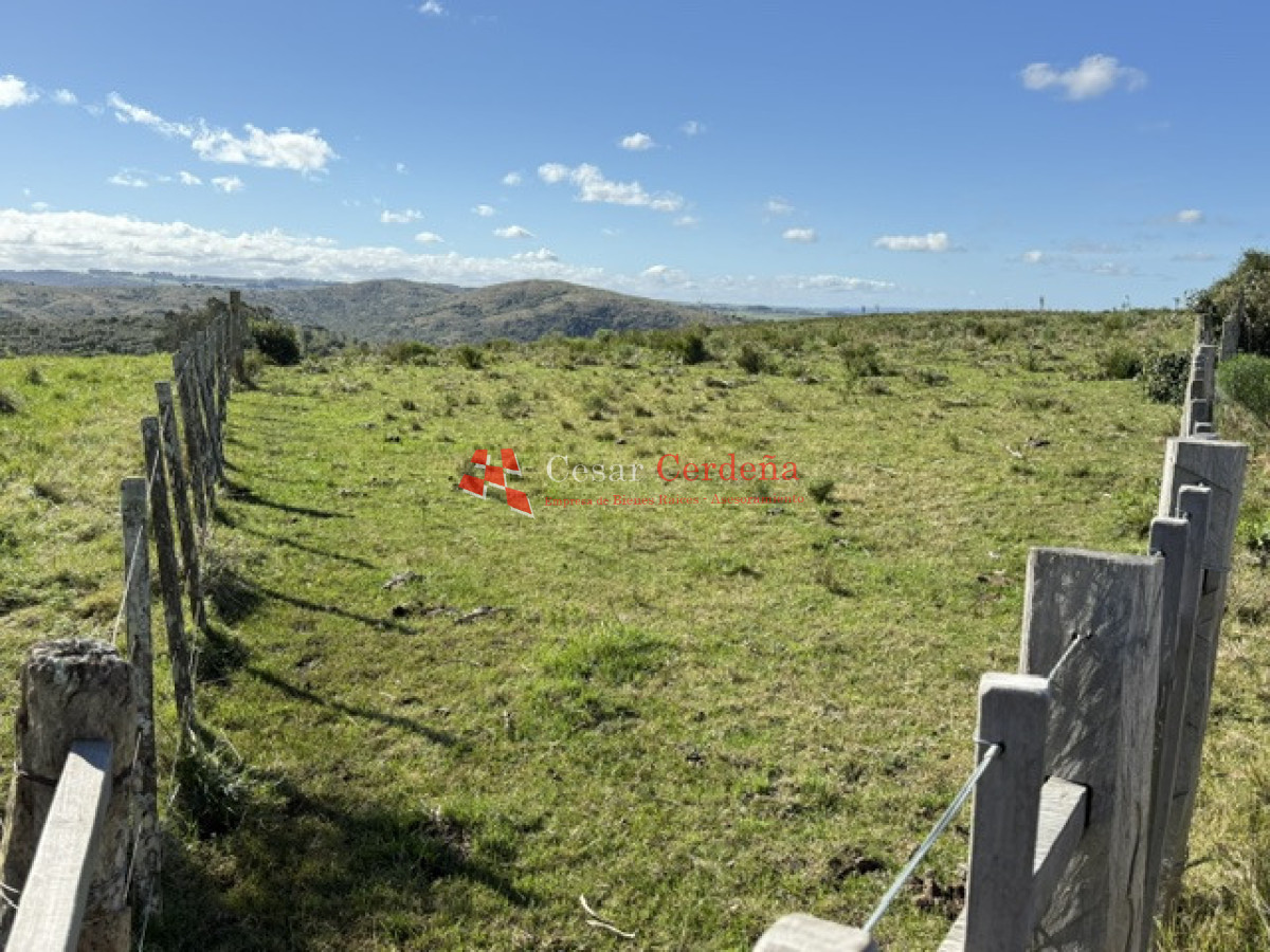 Campo Ref.1936 - VENTA - Campo 240 hectáreas en 19 de Abril - Rocha