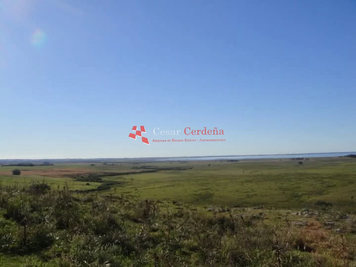 Campo Ref.1936 - VENTA - Campo 240 hectáreas en 19 de Abril - Rocha