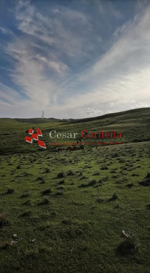 Campo Ref.1936 - VENTA - Campo 240 hectáreas en 19 de Abril - Rocha
