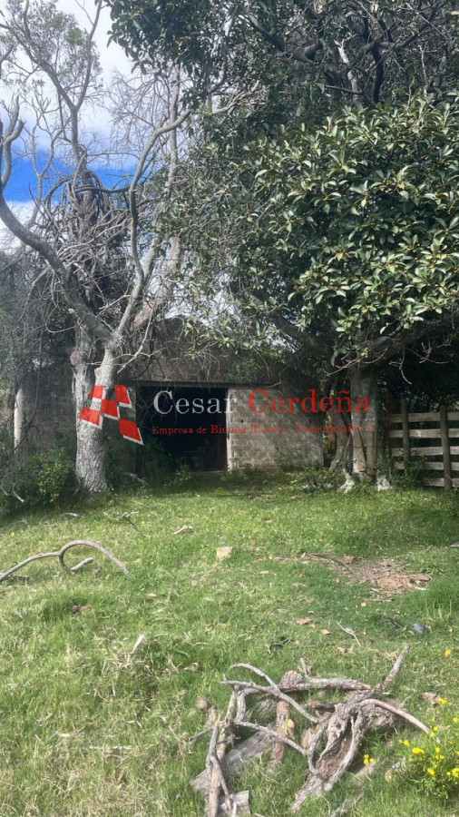 Campo Ref.1956 - VENTA - Campo 295 hectáreas en 19 de Abril - Rocha