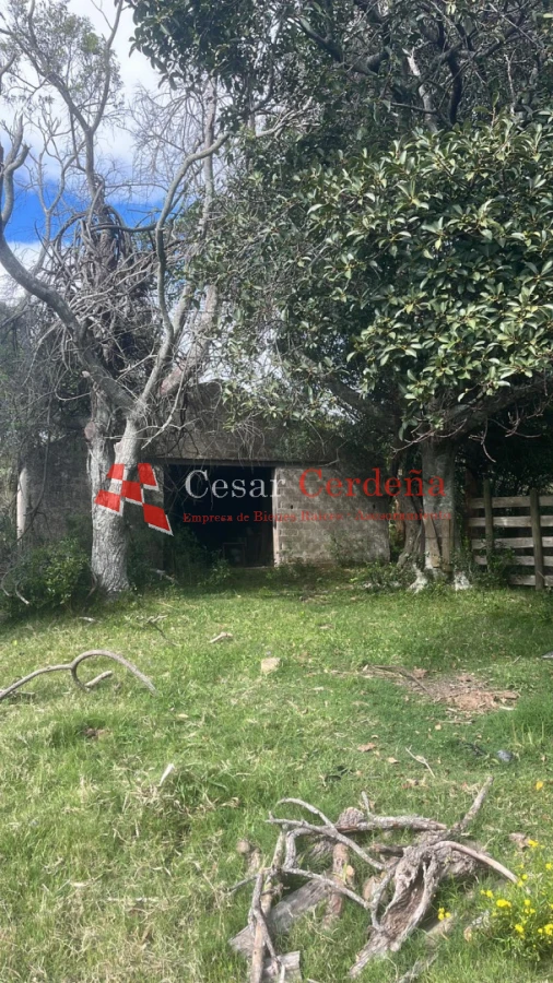 Campo Ref.1956 - VENTA - Campo 295 hectáreas en 19 de Abril - Rocha