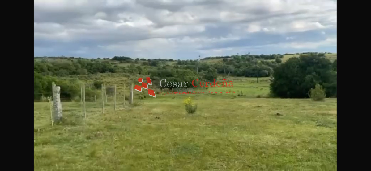 Campo Ref.1922 - VENTA - 124 HAS CASTILLOS