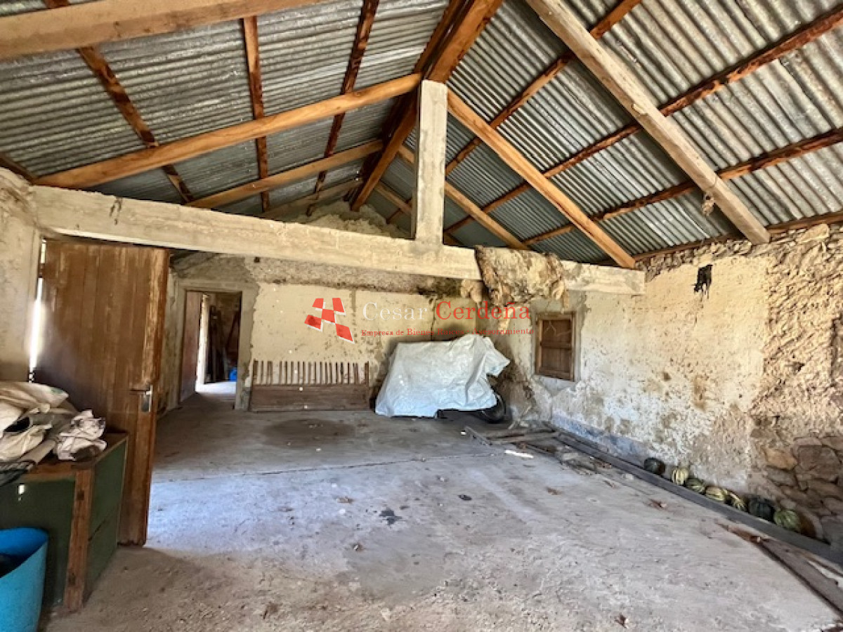 Campo Ref.1887 - VENTA - Campo 79 hectareas ruta 109