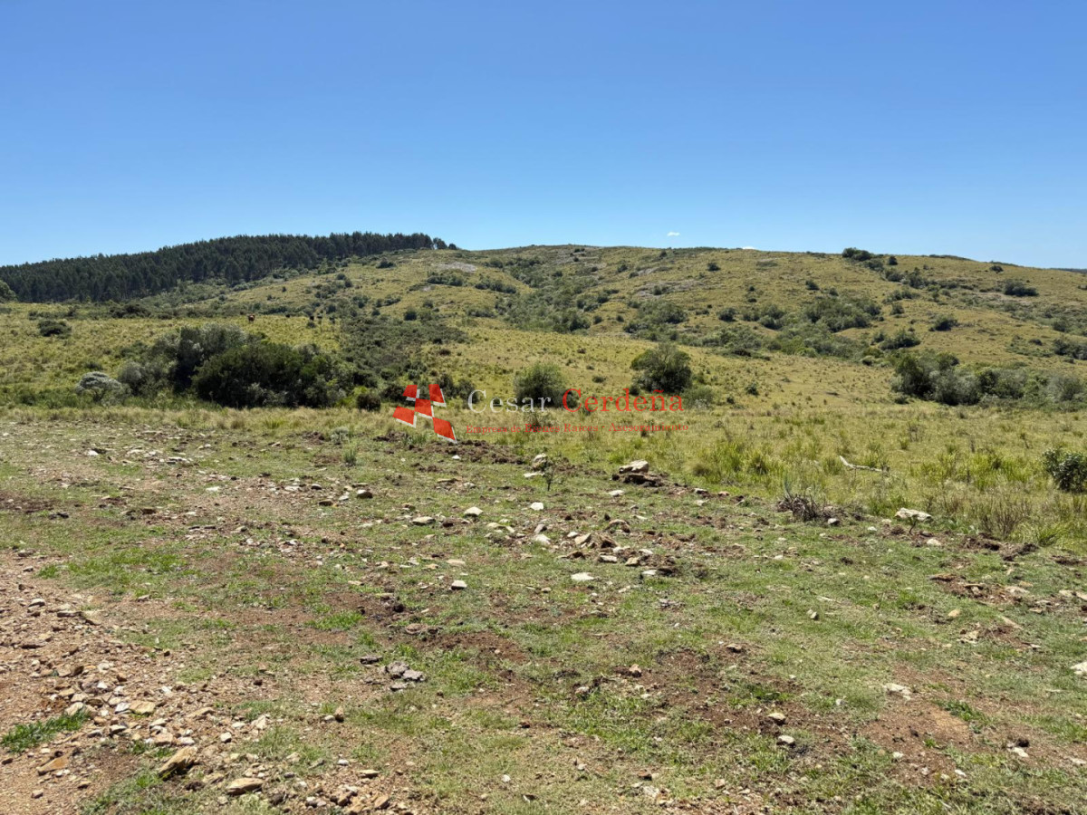 Campo Ref.1990 - VENTA - Campo 112 hectareas en La Carbonera, Rocha