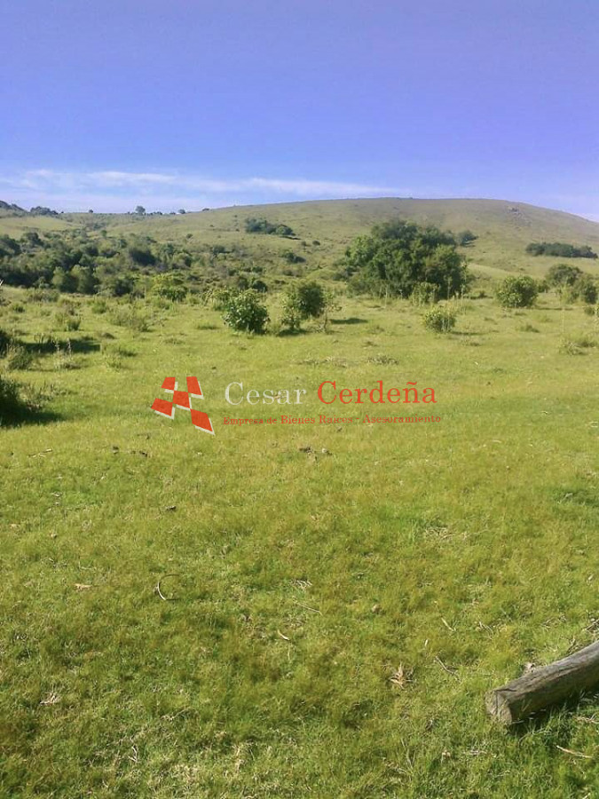 Campo Ref.1721 - VENTA - Campo 78 hectareas en Garzon