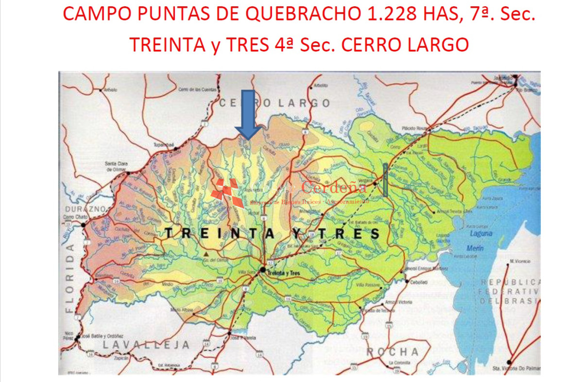Campo Ref.1908 - VENTA - Campo 1228 hectareas - Treinta y Tres
