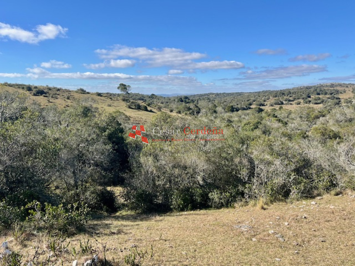 Campo Ref.1887 - VENTA - Campo 79 hectareas ruta 109