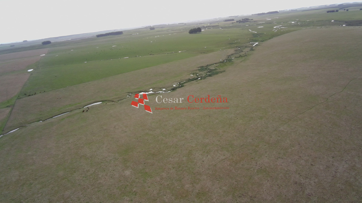 Campo Ref.2007 - VENTA - Campo 655 hectáreas cercano a Velazquez