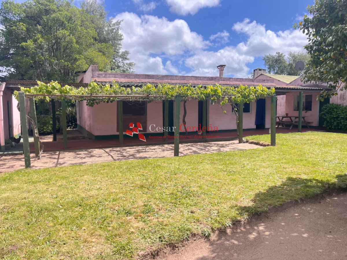 Campo Ref.1850 - VENTA - 745 HECTAREAS ROCHA