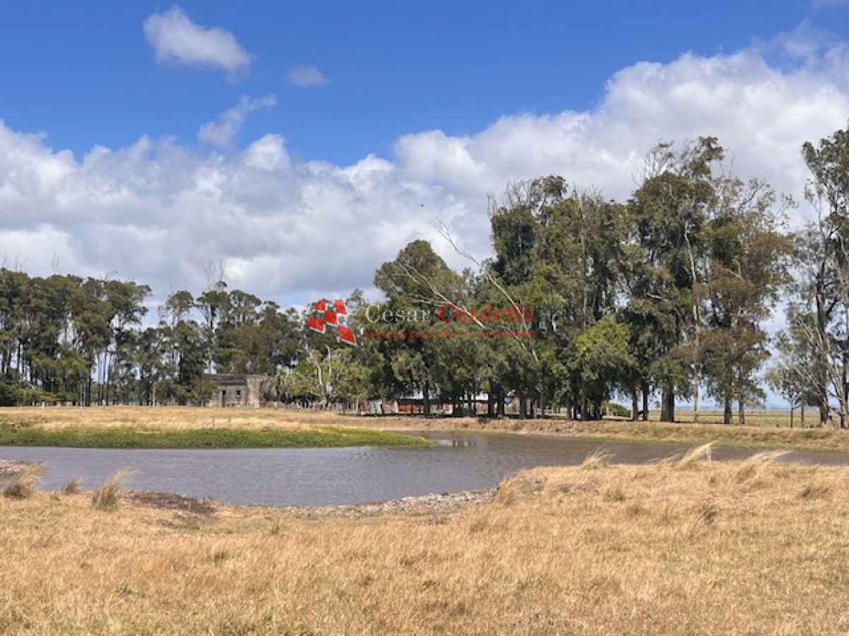 Campo Ref.1951 - VENTA - Campo 754 hectáreas - Rocha