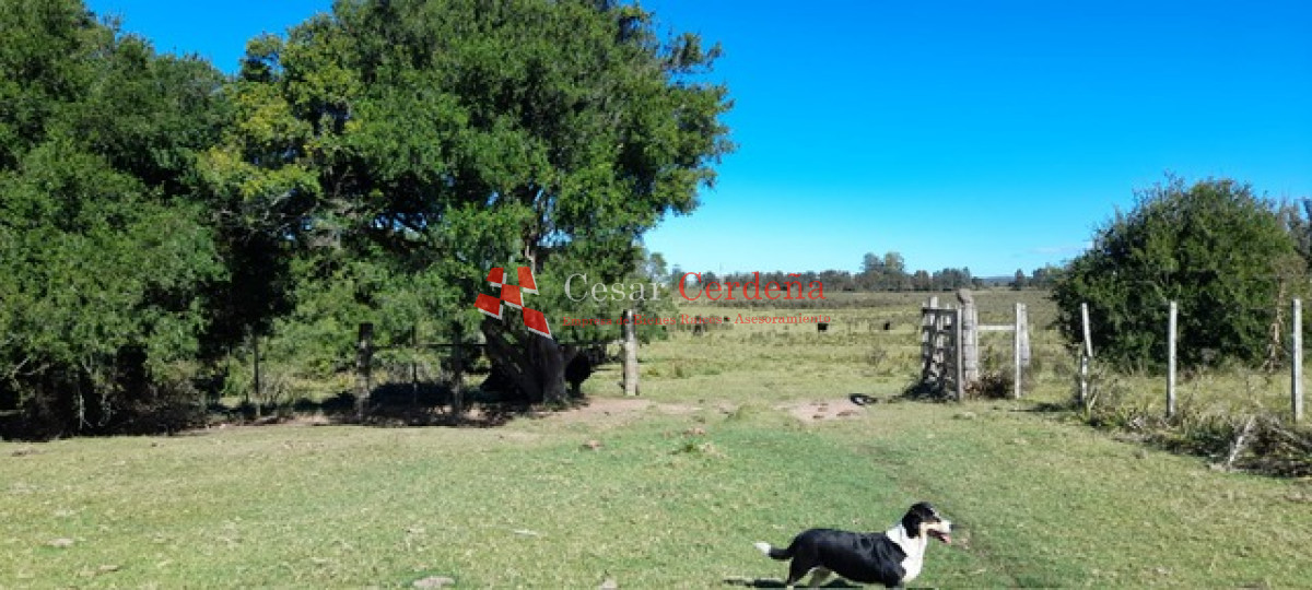 Campo Ref.1937 - VENTA - Campo de 83 hectáreas en Maldonado