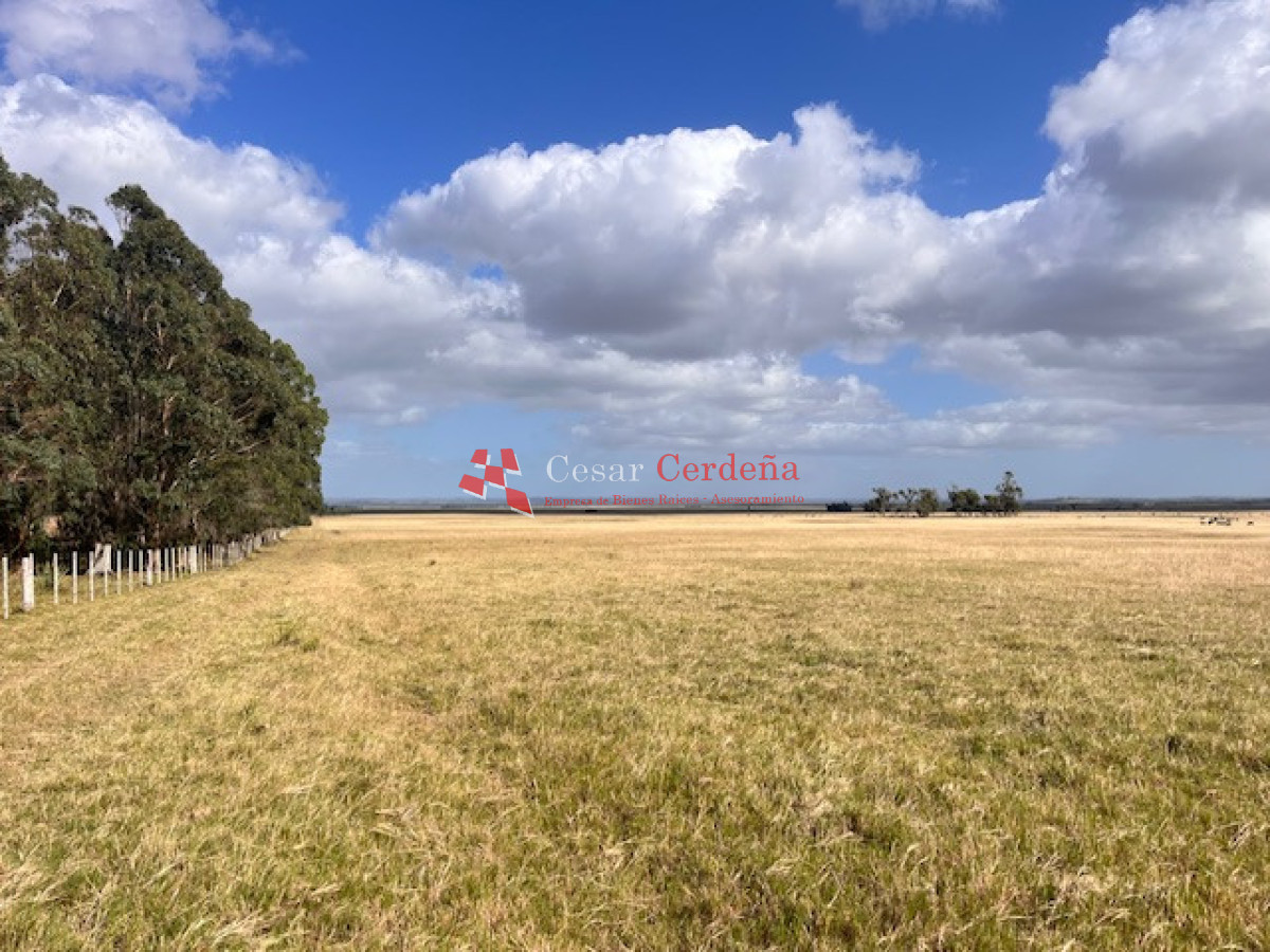 Campo Ref.1951 - VENTA - Campo 754 hectáreas - Rocha