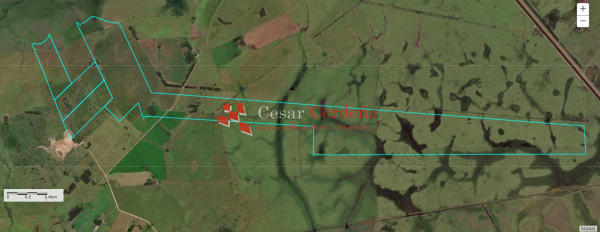 Campo Ref.1899 - VENTA - Campo 208 hectareas en La Coronilla