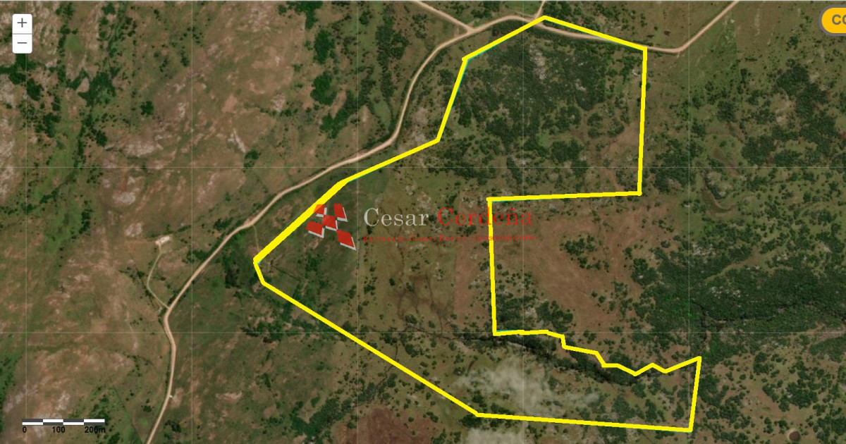 Campo Ref.1887 - VENTA - Campo 79 hectareas ruta 109