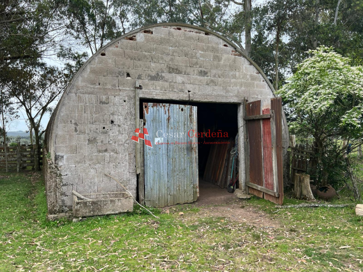 Campo Ref.1952 - VENTA - Campo 138 hectareas en Castillos Rocha