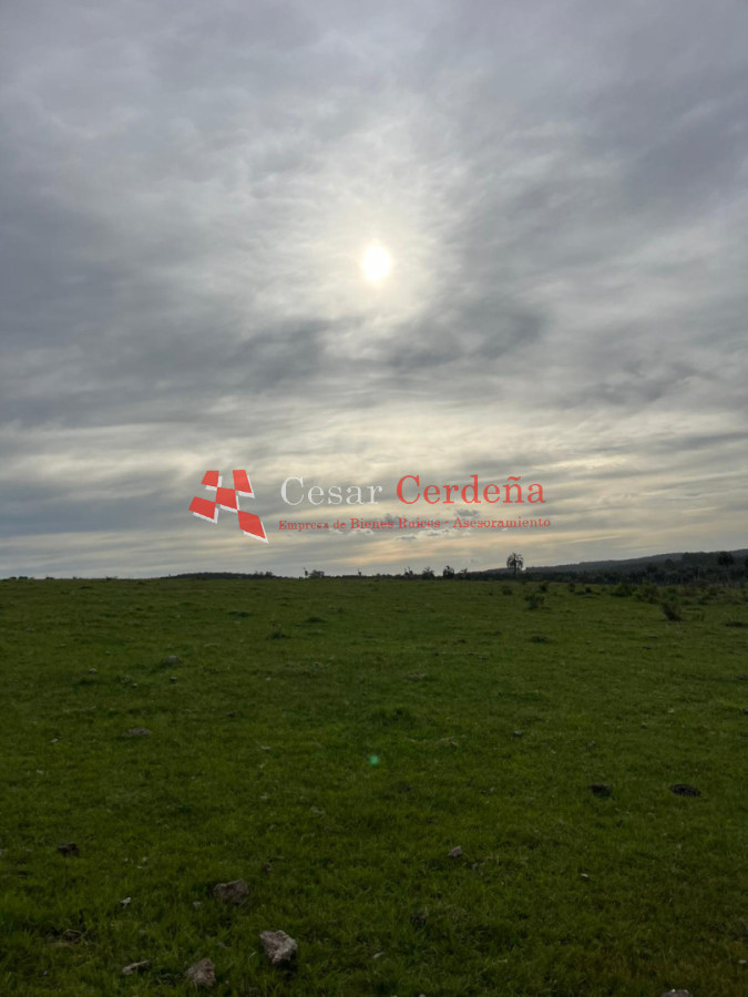 Campo Ref.1952 - VENTA - Campo 138 hectareas en Castillos Rocha