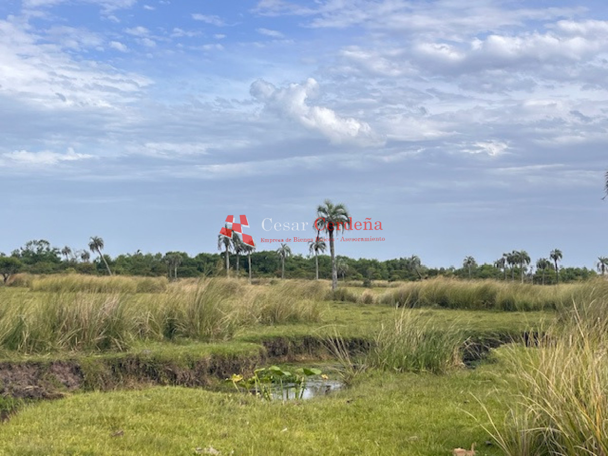 Campo Ref.1952 - VENTA - Campo 138 hectareas en Castillos Rocha