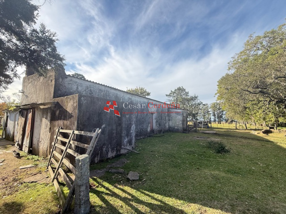 Campo Ref.1998 - VENTA - Campo 358 hectáreas en Garzón, Rocha