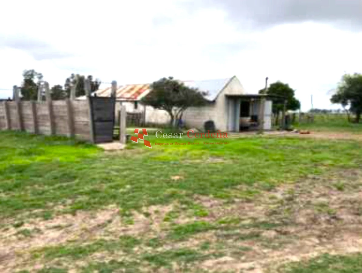 Campo Ref.1909 - VENTA -Campo en Rocha 690 hectáreas 