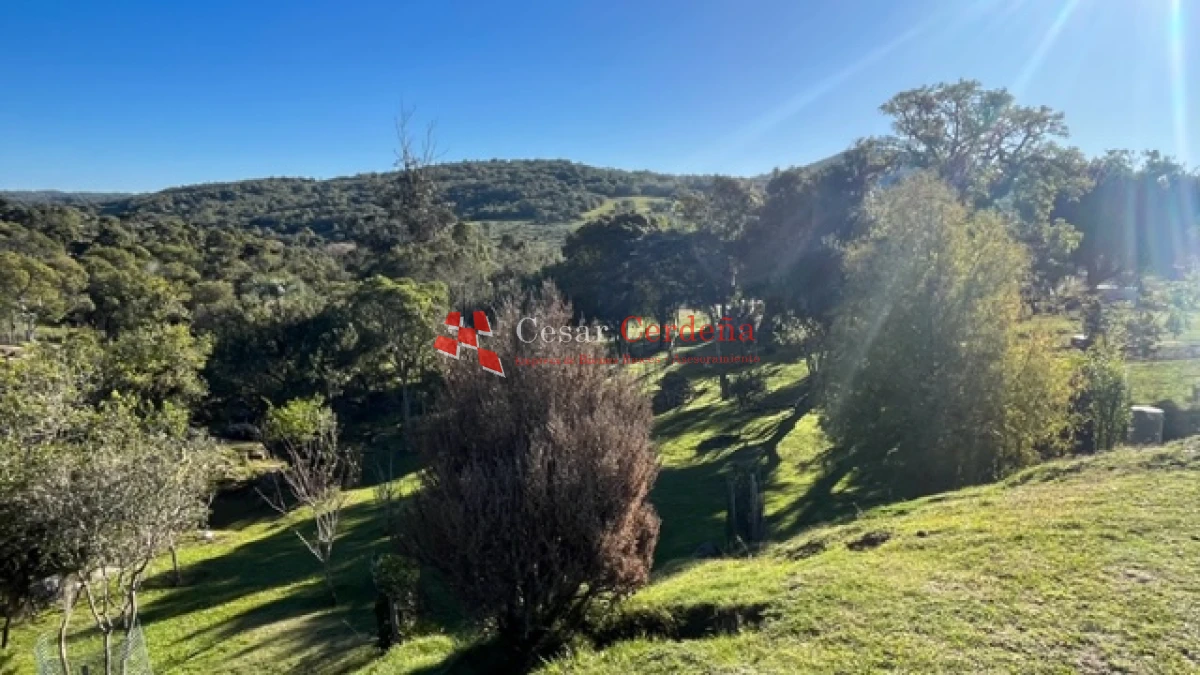 Campo Ref.1886 - VENTA - Campo de 238 hectáreas ganaderas en zona del Cerro Catedral