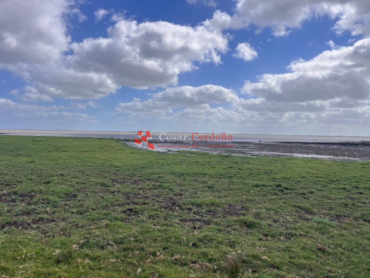 Campo Ref.1951 - VENTA - Campo 754 hectáreas - Rocha