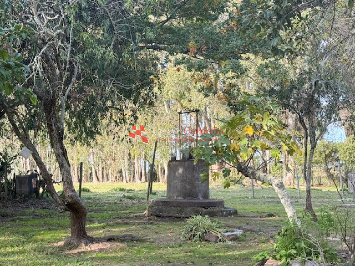 Campo Ref.1998 - VENTA - Campo 358 hectáreas en Garzón, Rocha