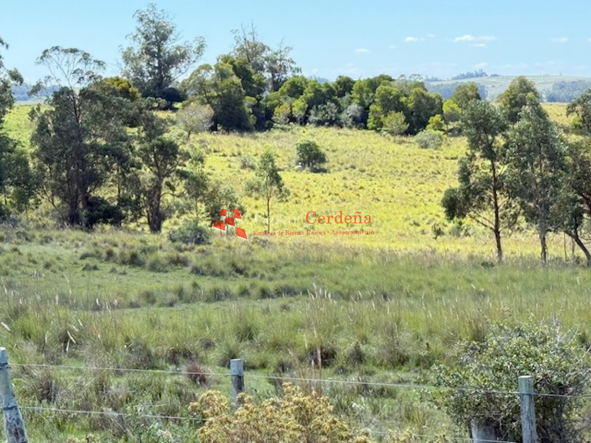 Campo Ref.1947 - VENTA - Campo 316 hectareas en Garzon, Rocha