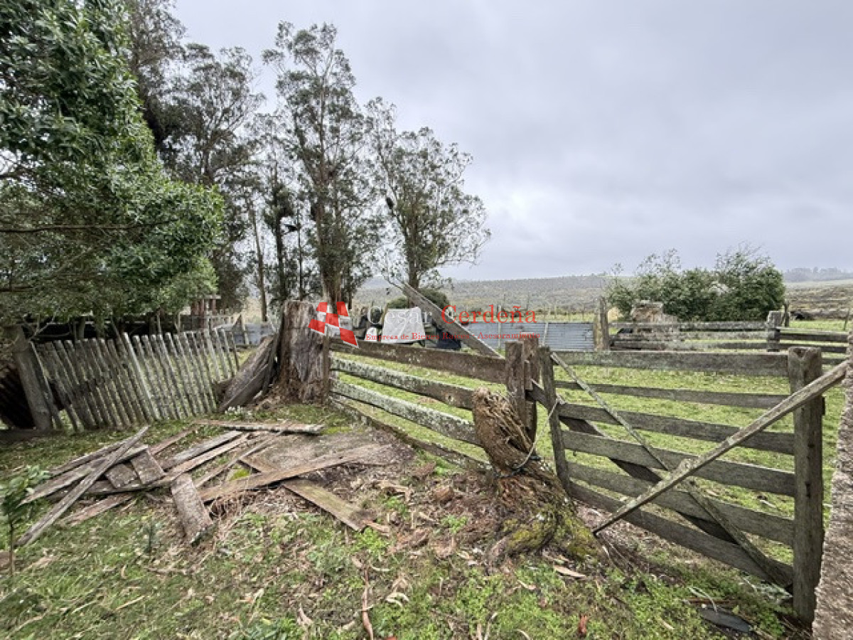 Campo Ref.1964 - VENTA - Campito 59 hectáreas - Castillos, Rocha