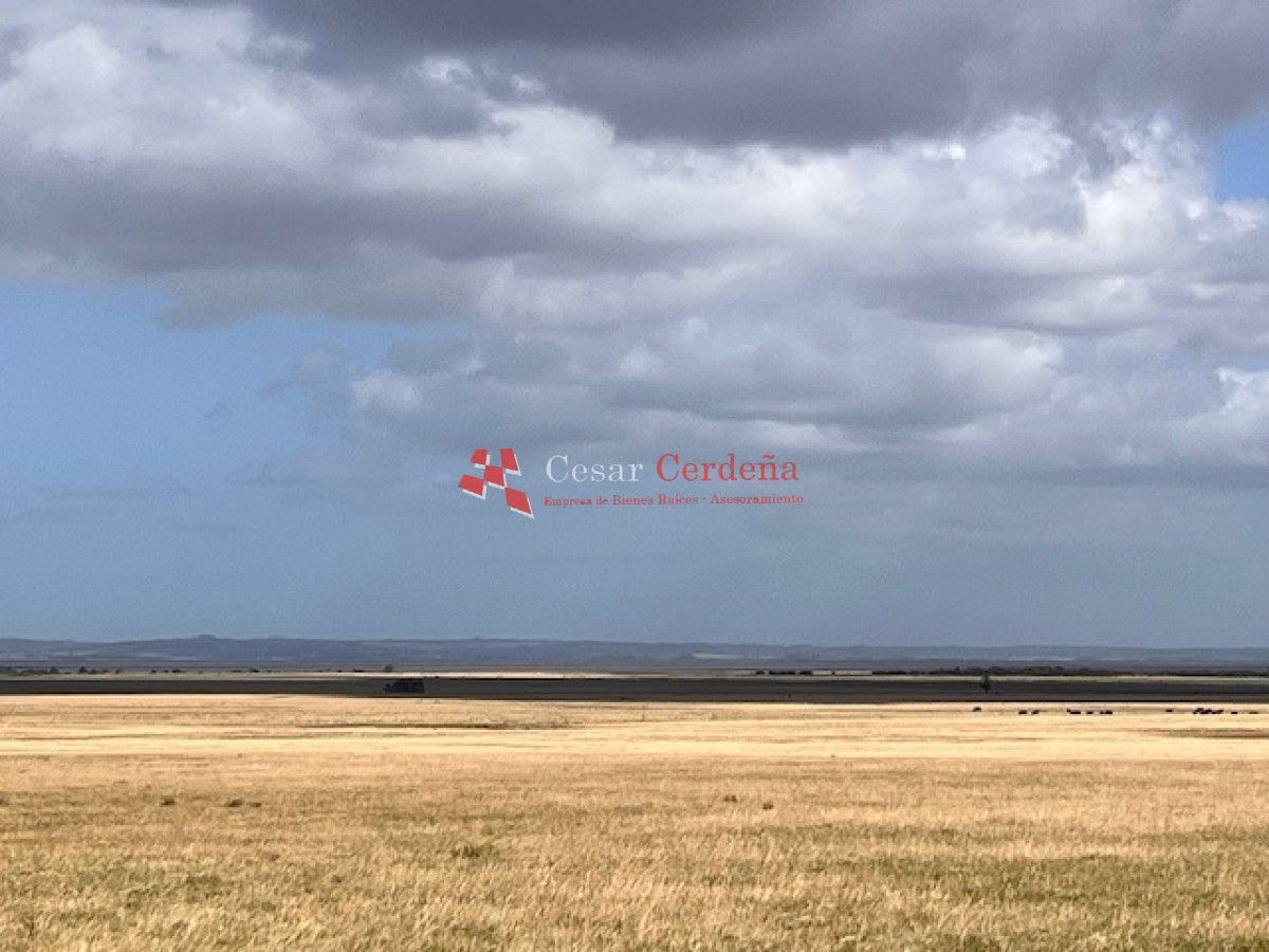 Campo Ref.1951 - VENTA - Campo 754 hectáreas - Rocha